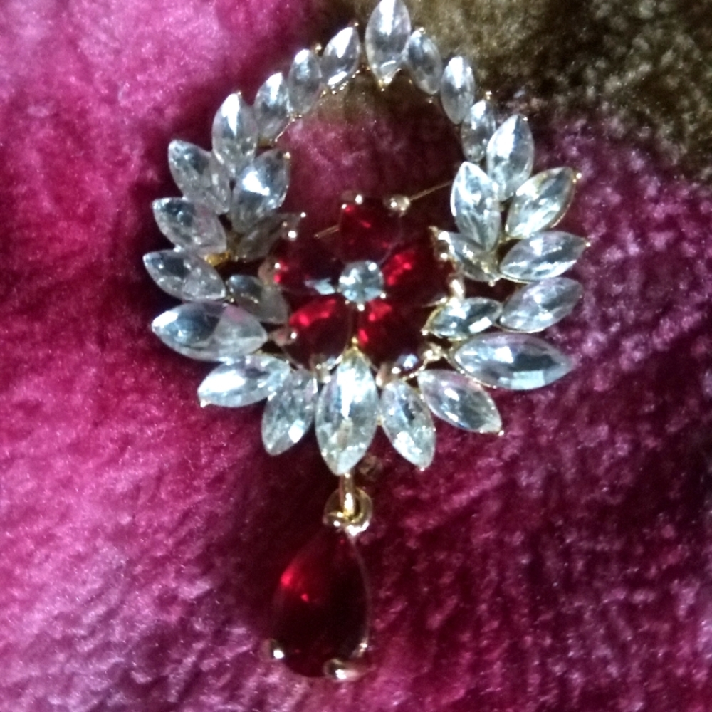 🌹pretty Special Gift, Elegant  Red and Silver Brooch🌹